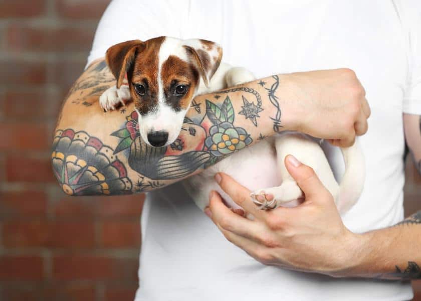 Adopter Gets Amazing Tattoo of TwoFaced Rescue Dog  Anicira