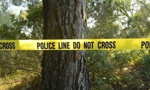 Police searching for 6 children accused of horrific dog abuse