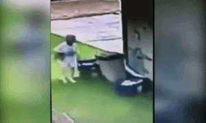 neighbor caught on tape