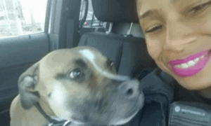 boston police officer rescues