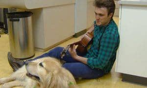 veterinarian calms anxious animals