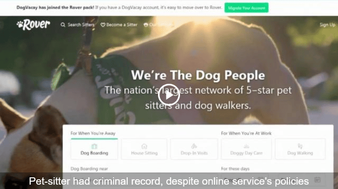 Woman Returns From Vacation To Find Home Trashed By Dog Sitter Hired Through Popular Online Pet Sitting Service The Dogington Post
