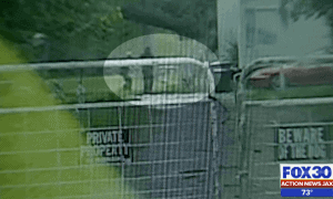 Police Shot and Killed Family Dog