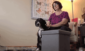 church refuses to allow service dog