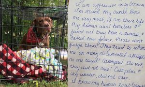 heartbreaking note