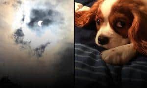 eclipse