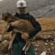 Mountain Climbers Rescue Dog