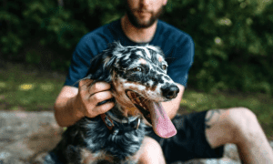 pet camera