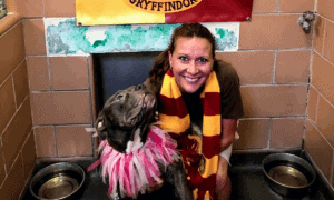 hogwarts houses