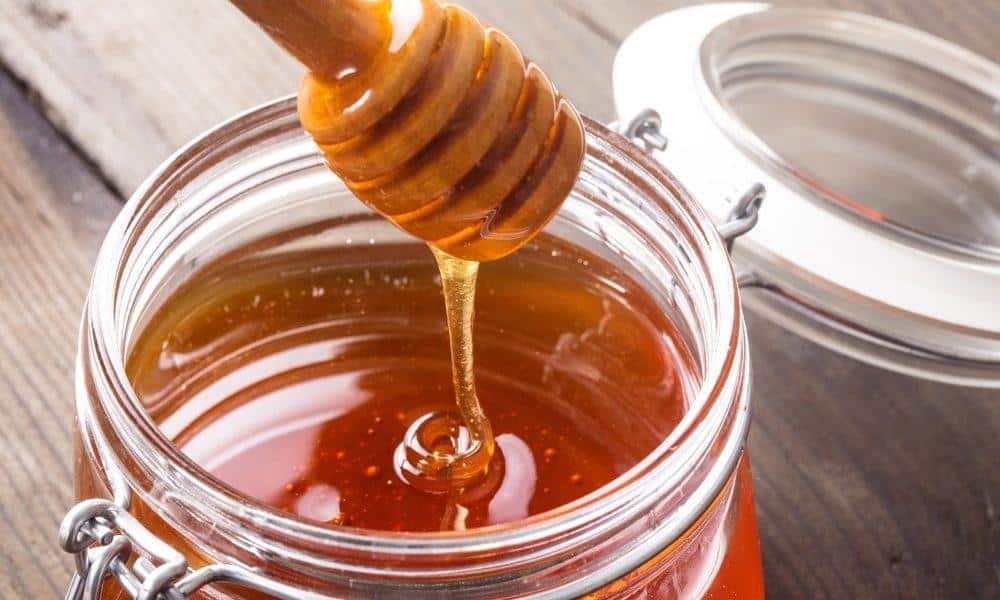 organic honey for dogs