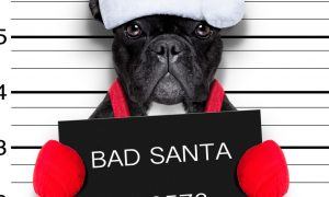 mall santa