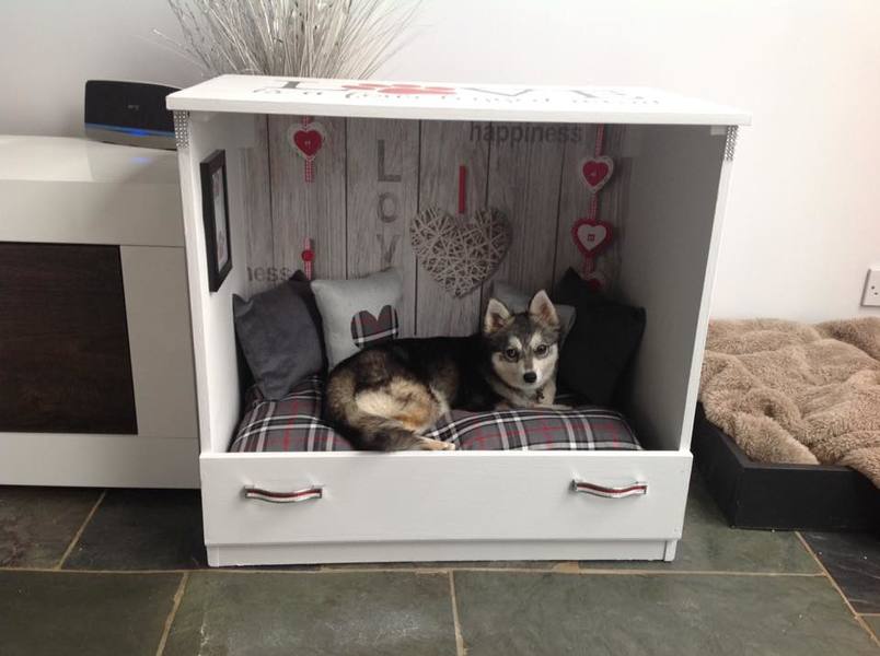 Customized Cozy Dog Beds, Dog Bed Dresser With Stairs