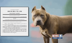 breed specific legislation