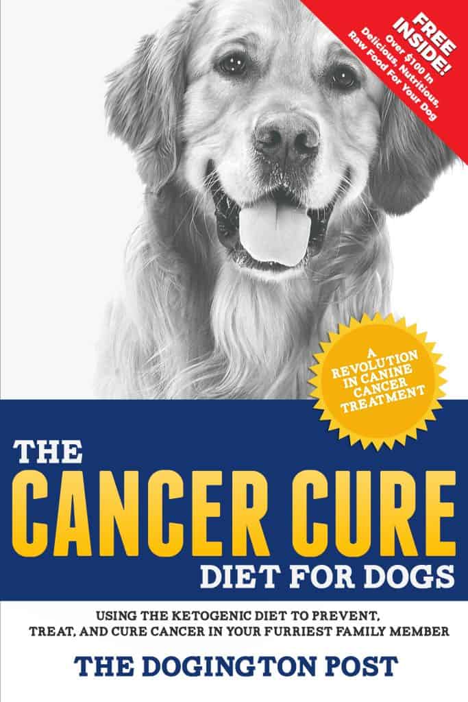 Cancer Cure Cover 6X9 Front