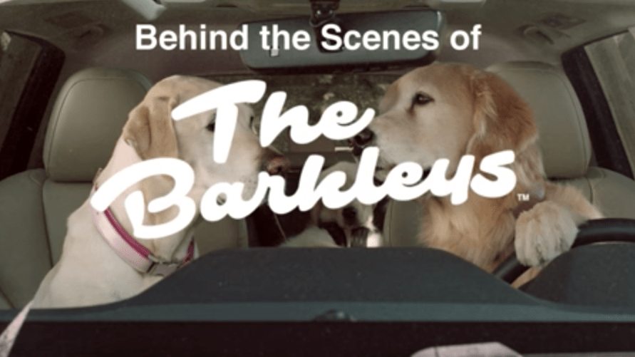 Filming with Dogs Can Be RUFF! A Peek Behind the Scenes at Subaru's Latest 'The Barkleys' Commercial - The Dogington Post