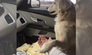 holding hands