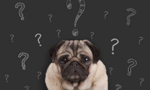 questions