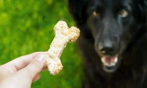 treats