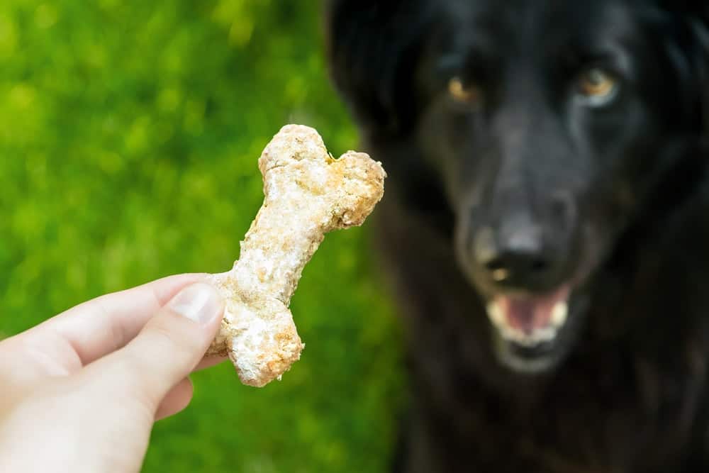 Functional Treats for Dogs