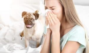 allergic
