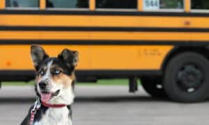 back to school