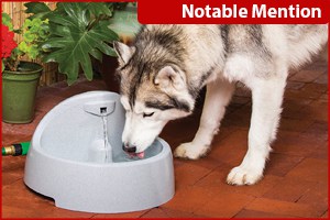 Best Water Fountains