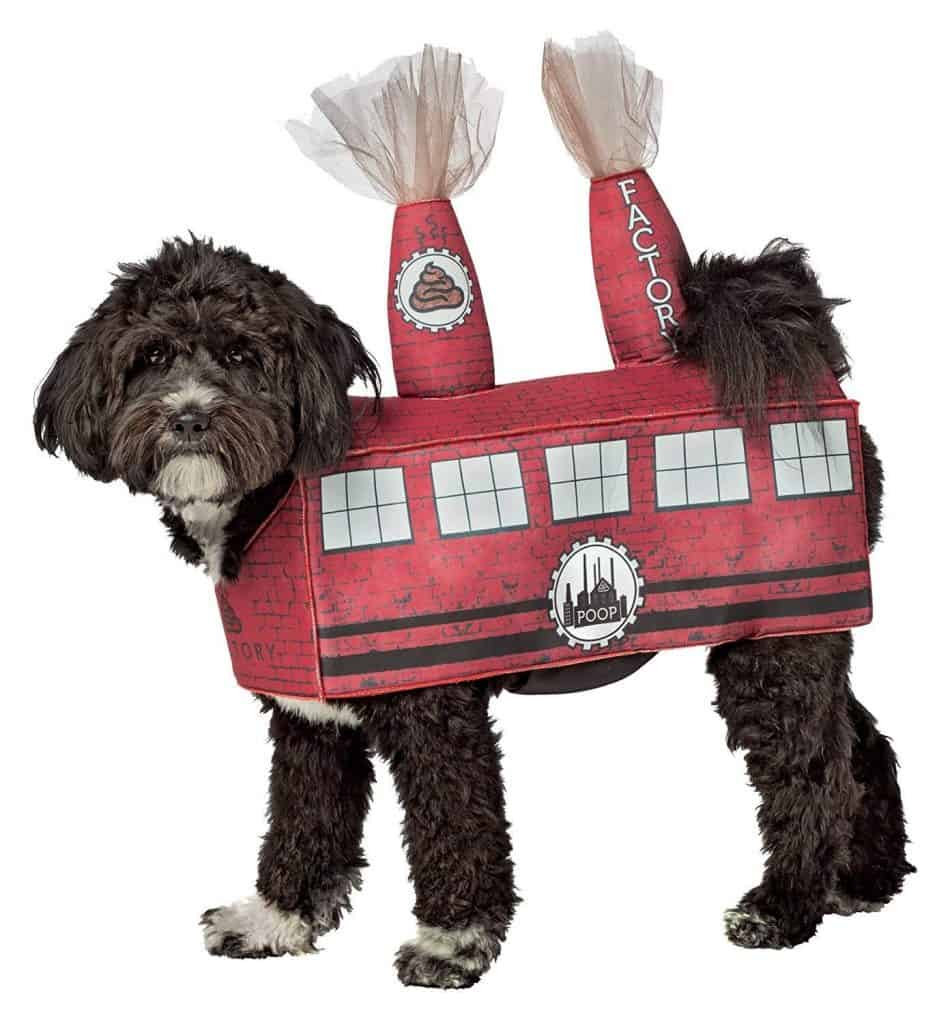 Costumes For Dogs