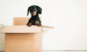 moving