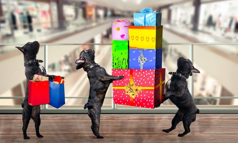 2020 Black Friday Deals for Dogs 