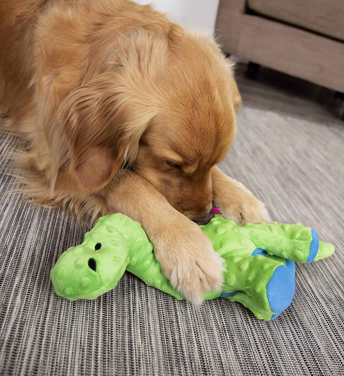 Top 5 Durable Dog Toys for Heavy Chewers – The Dogington Post - Durable Dog Crate Toys For Heavy Chewers