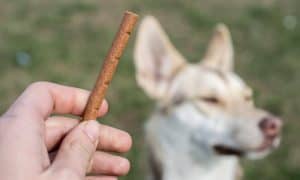 treats