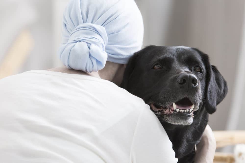 Dogs In Healthcare