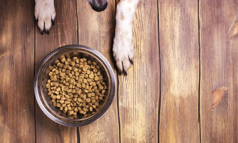 Thumbnail for Managing Grain-Free Dog Food Side Effects