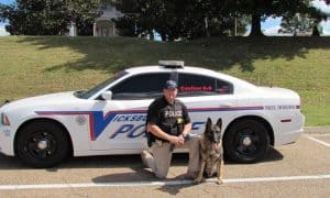 k-9