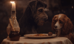 lady and the tramp