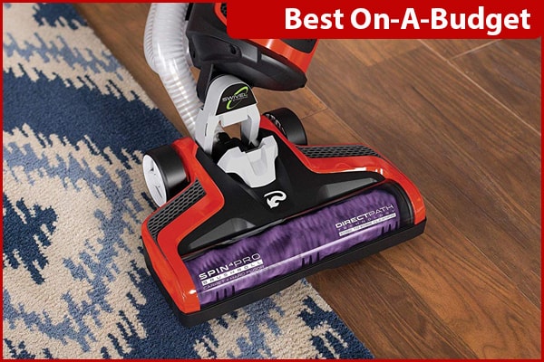 The Best Pet Hair Vacuums For Dealing, Best Cordless Vacuum For Hardwood Floors And Carpet Pet Hair Remover