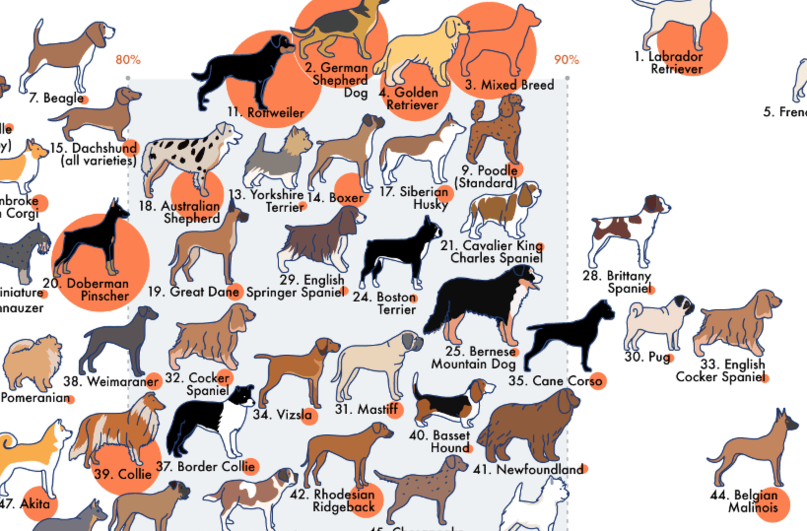 this-infographic-visualizes-dog-breeds-ranked-by-temperament-the-dogington-post