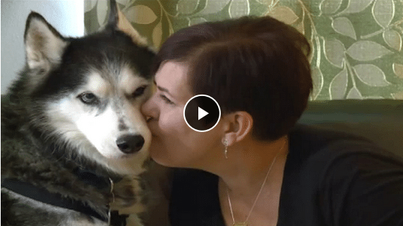 Woman Credits Her Dog With Saving Her Life... 4 Times! - The Dogington Post