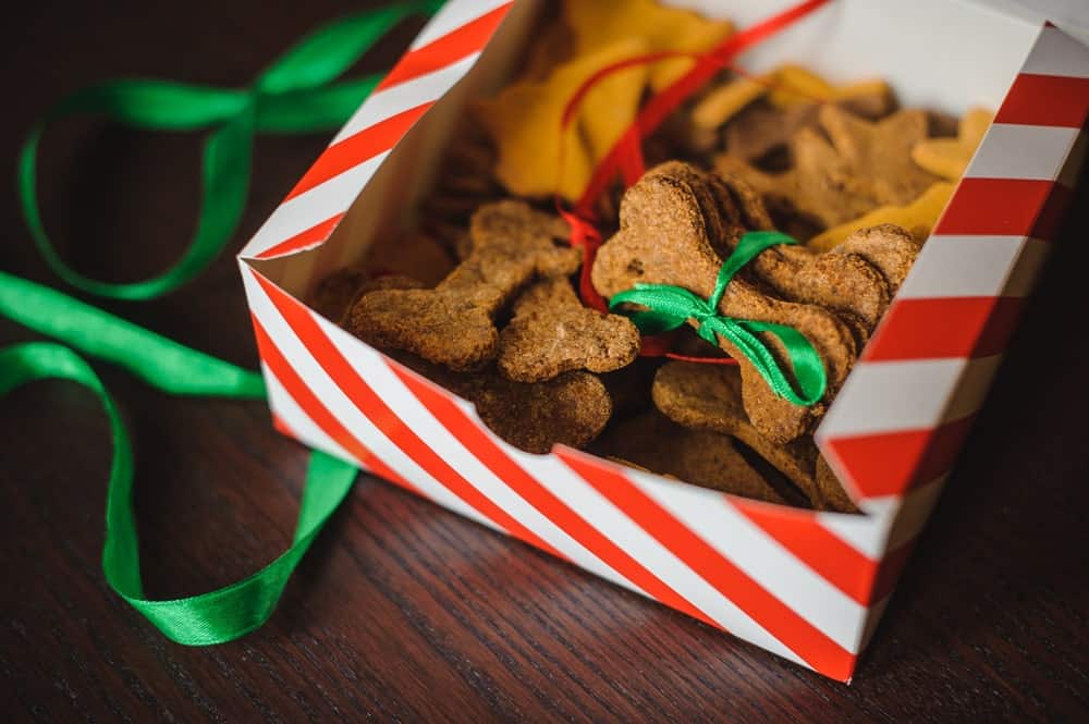 Christmas Cookies For Dogs