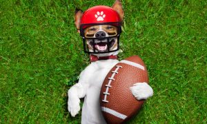 super bowl