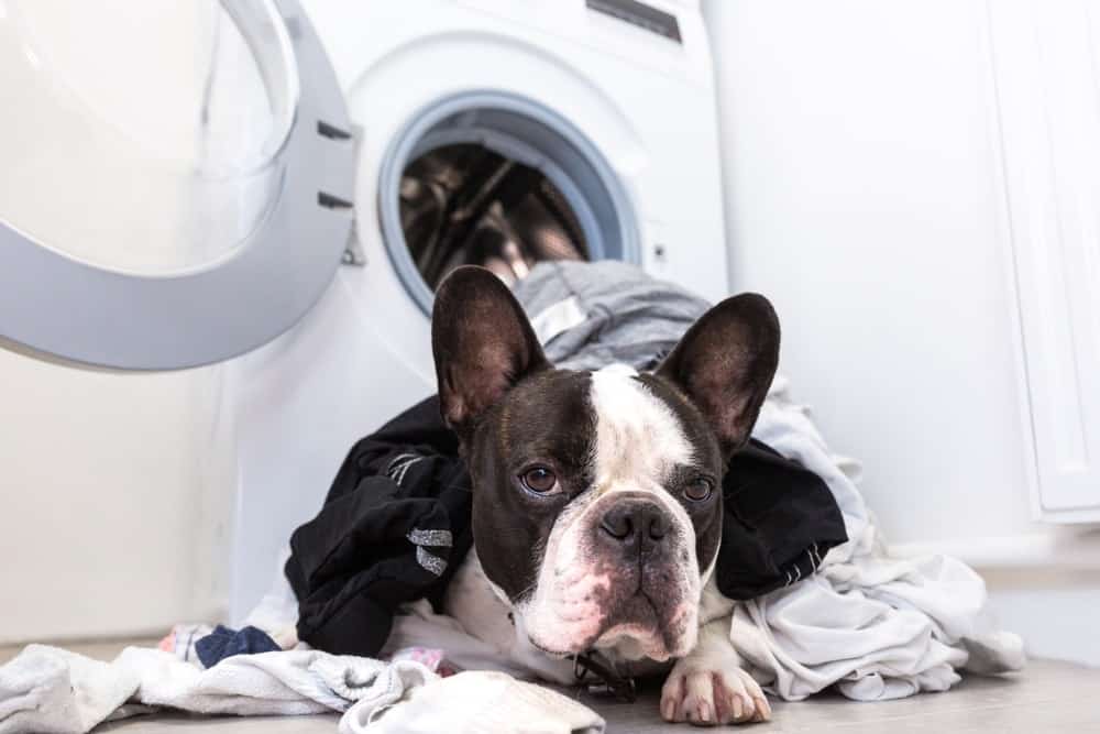 Washingmachine2 Min