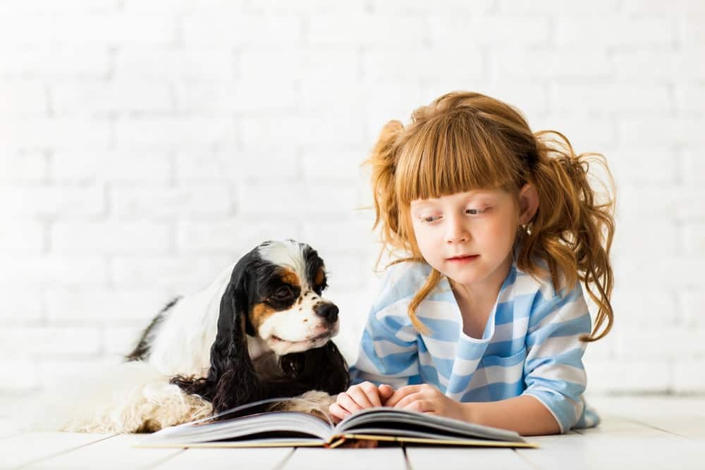 How Therapy Dogs Can Help Kids with Speech Difficulties - The Dogington Post