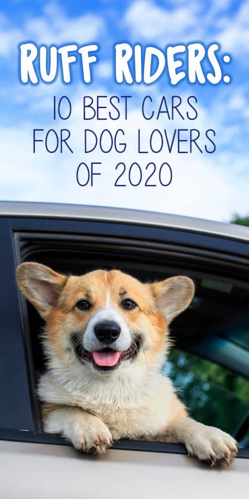 Best Cars For Dog Lovers
