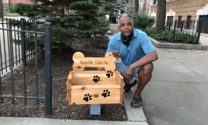 little free library