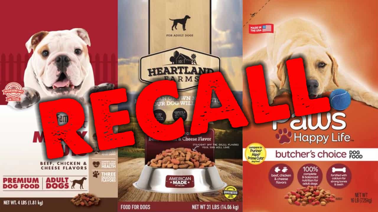 RECALL ALERT: Multiple Dog Foods Recalled Over Potentially Dangerous