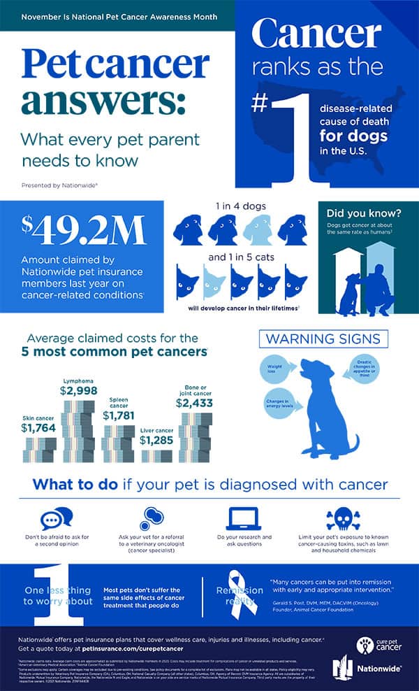 8440B Inf Cure Pet Cancer Infographic Logo