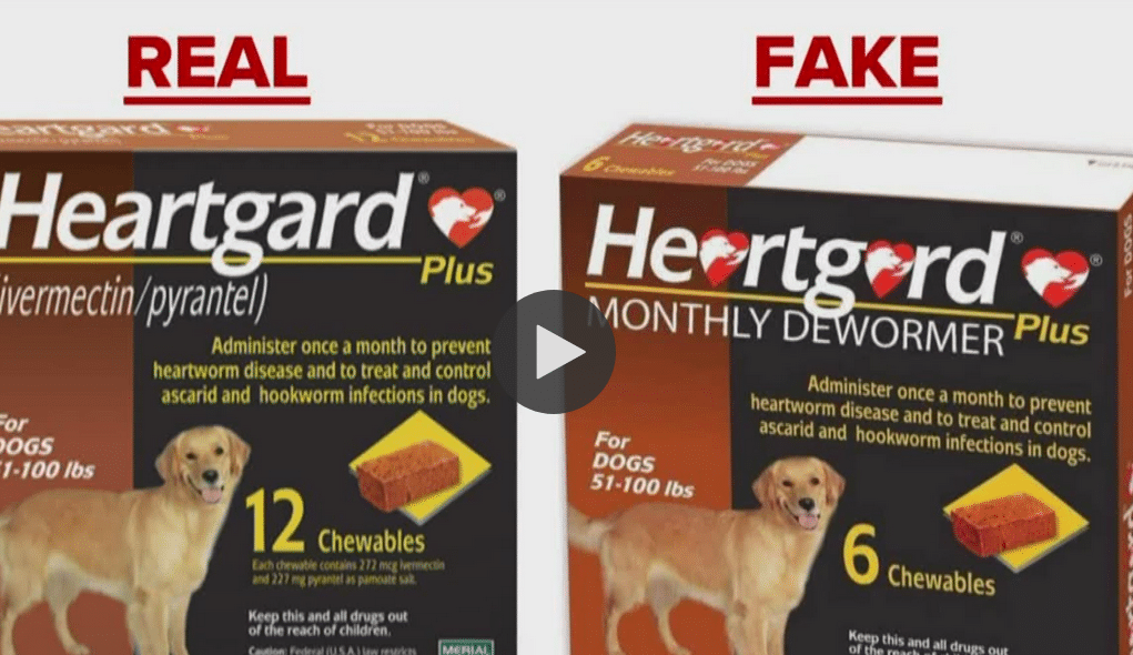 Do You Buy Flea Prevention Online How To Spot A Dangerous Counterfeit - The Dogington Post