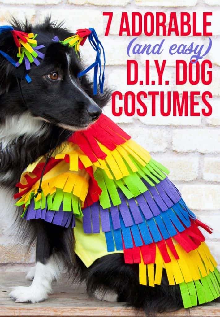 diy dog costumes