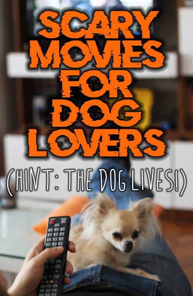 5 Scary Movies for Animal Lovers (Hint: The Dog Lives!) - The Dogington Post