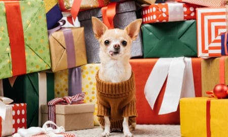 Giftsfordogs2